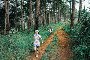 BIB: 
                            <button type="button" onclick="openModal(25691097)" class="btn btn-primary btn-sm float-right btn-popup" data-toggle="modal" data-target=".modal-high-quality">
                        <i class="fas fa-shopping-cart"></i> Add to Cart
                    </button>
                                            <button type="button" onclick="isThisMe(25691097, true)" class="btn btn-success btn-sm float-right btn-popup btn-isme hidden" data-toggle="tooltip" data-placement="bottom" title="นี่คือรูปของคุณใช่ไหม คลิกที่นี่เพื่อเอาเข้าอัลบั้ม">
                        <i class="fas fa-plus"></i> Add to album
                    </button>
                    <button type="button" onclick="isThisMe(25691097, false)" class="btn btn-warning btn-sm float-right btn-popup btn-isnotme hidden">
                        <i class="fas fa-ban"></i> Remove from album
                    </button>